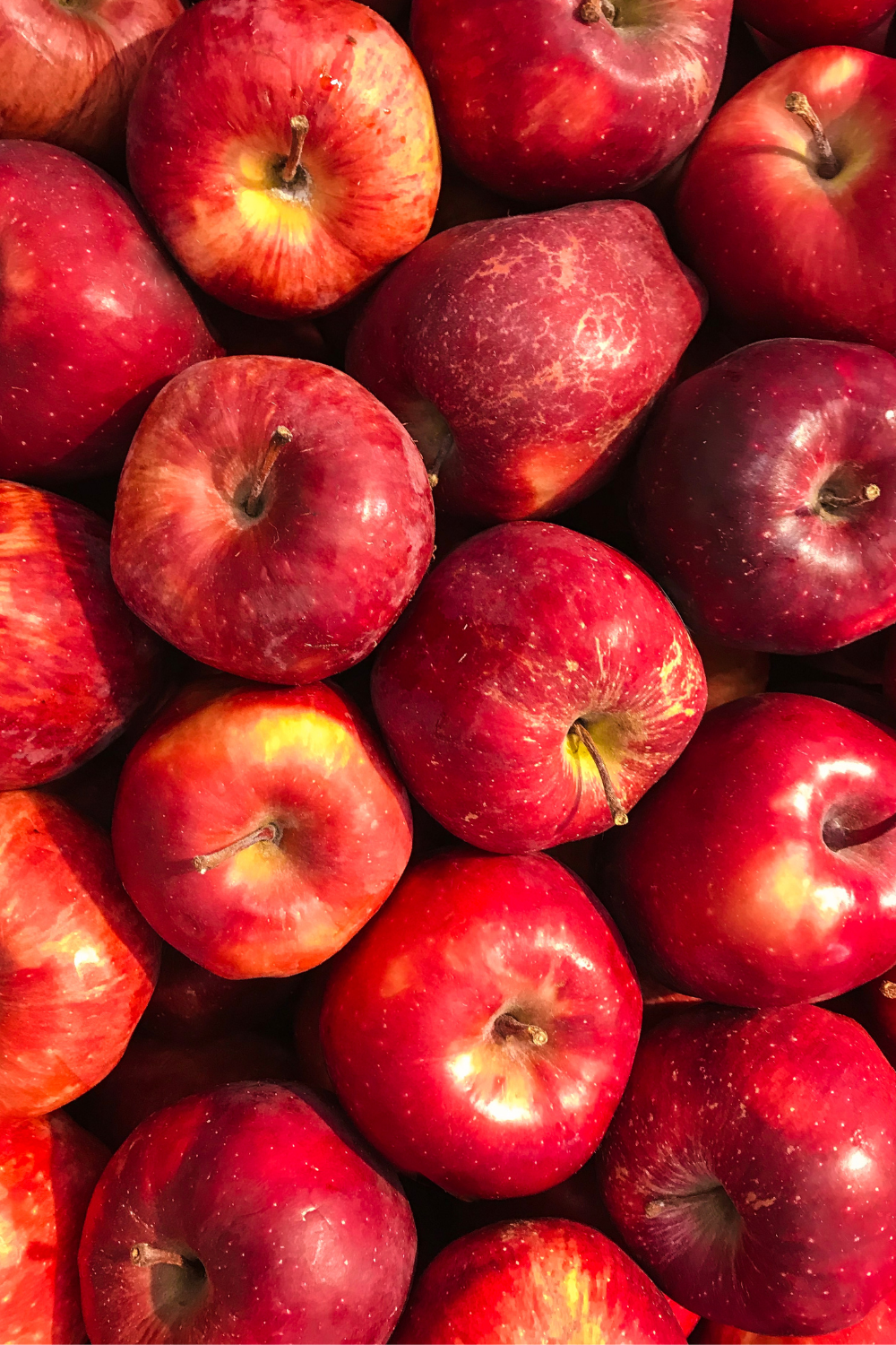 Slices-of-apple-crumb-loaf